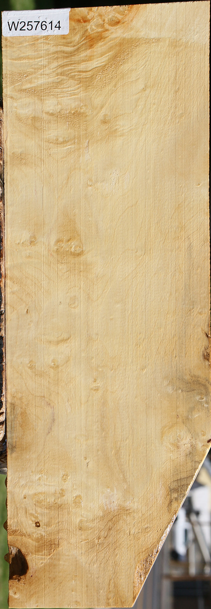 Figured Box Elder Lumber