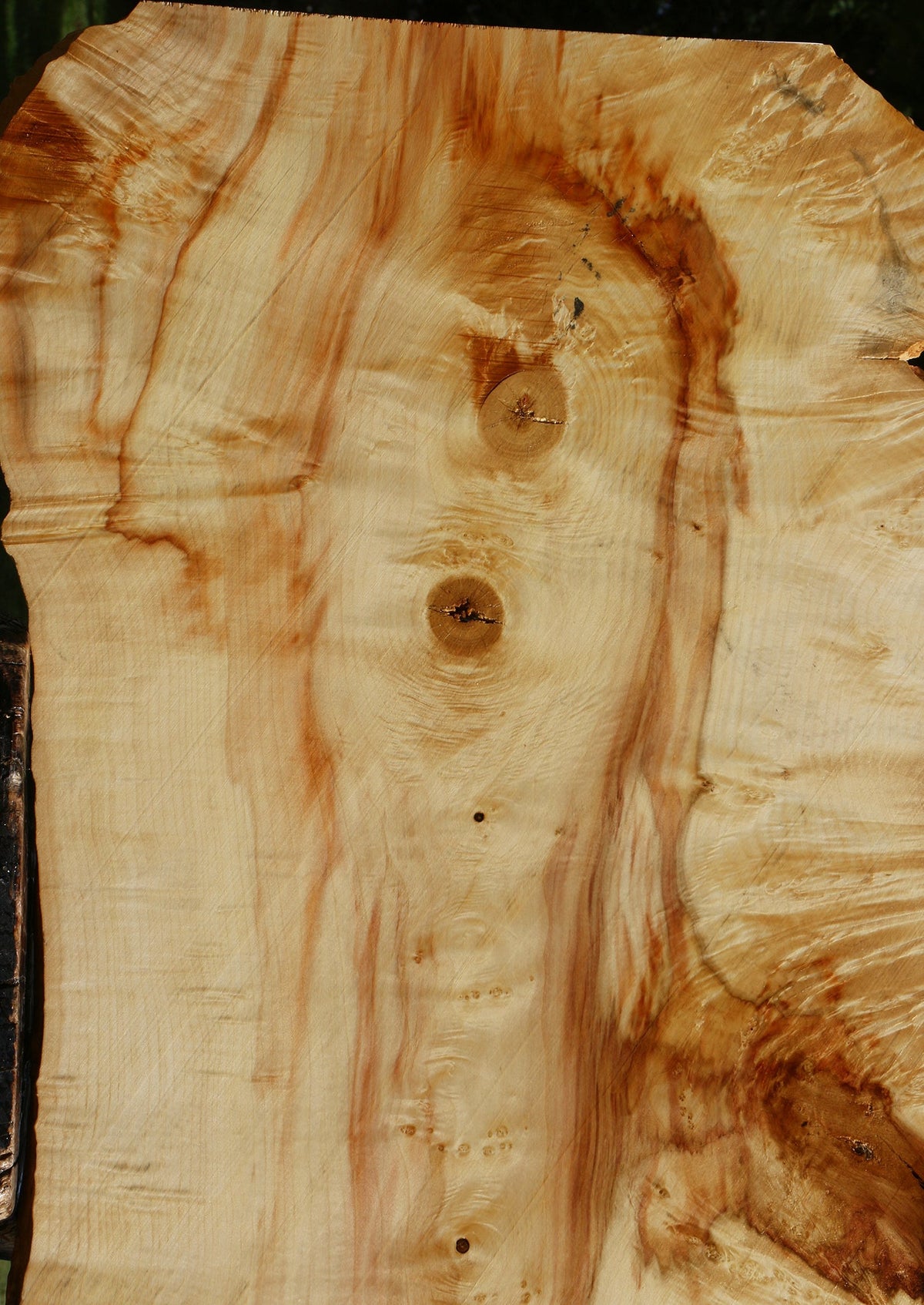 Extra Fancy Box Elder Live Edge Lumber