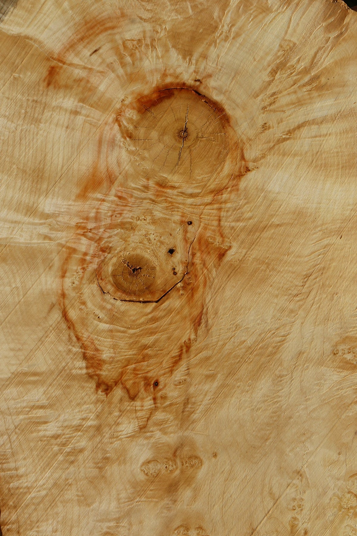 Extra Fancy Rustic Box Elder Live Edge Lumber