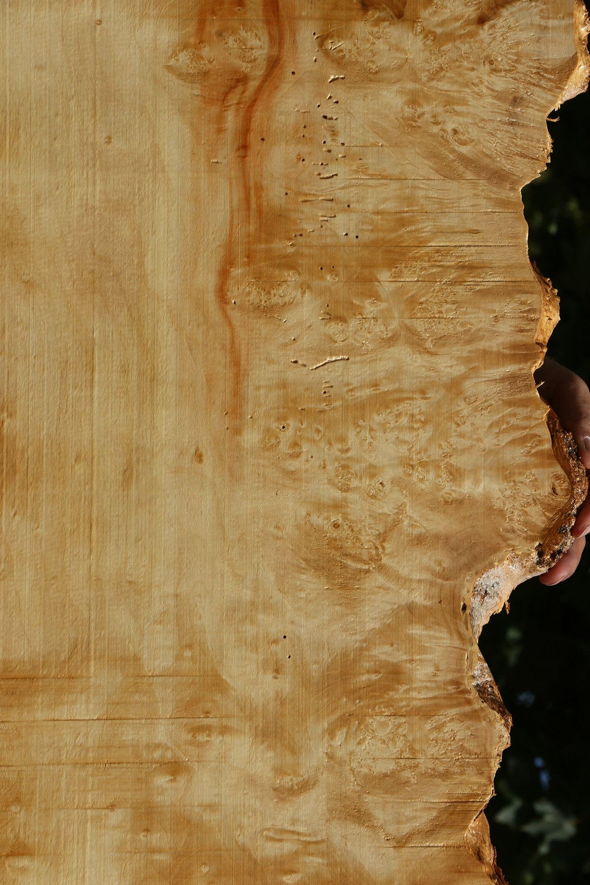Box Elder Live Edge Lumber