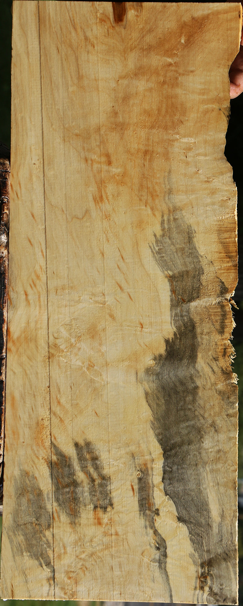 Extra Fancy Box Elder Live Edge Lumber