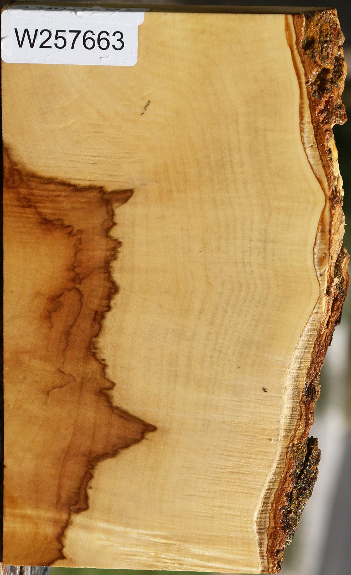 Box Elder Live Edge Lumber