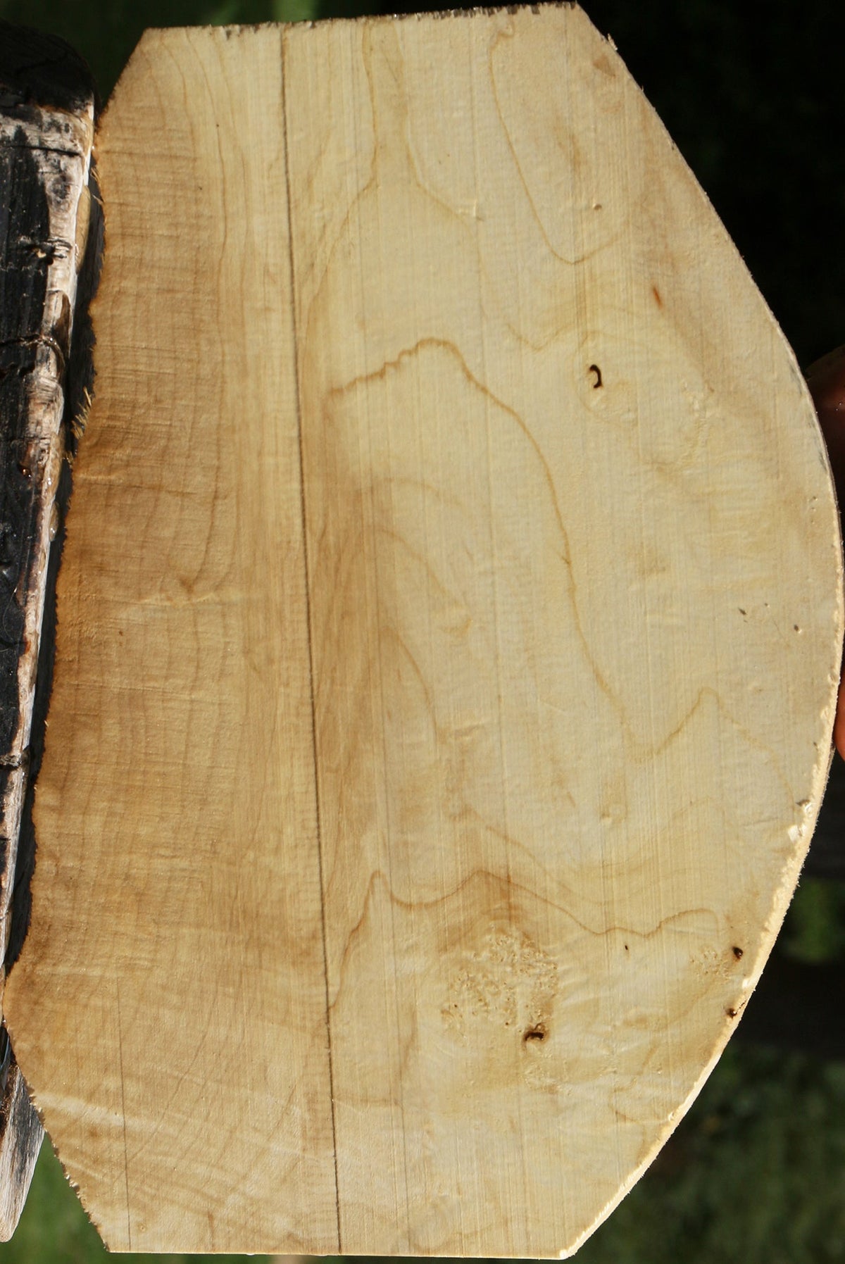 Figured Box Elder Live Edge Lumber