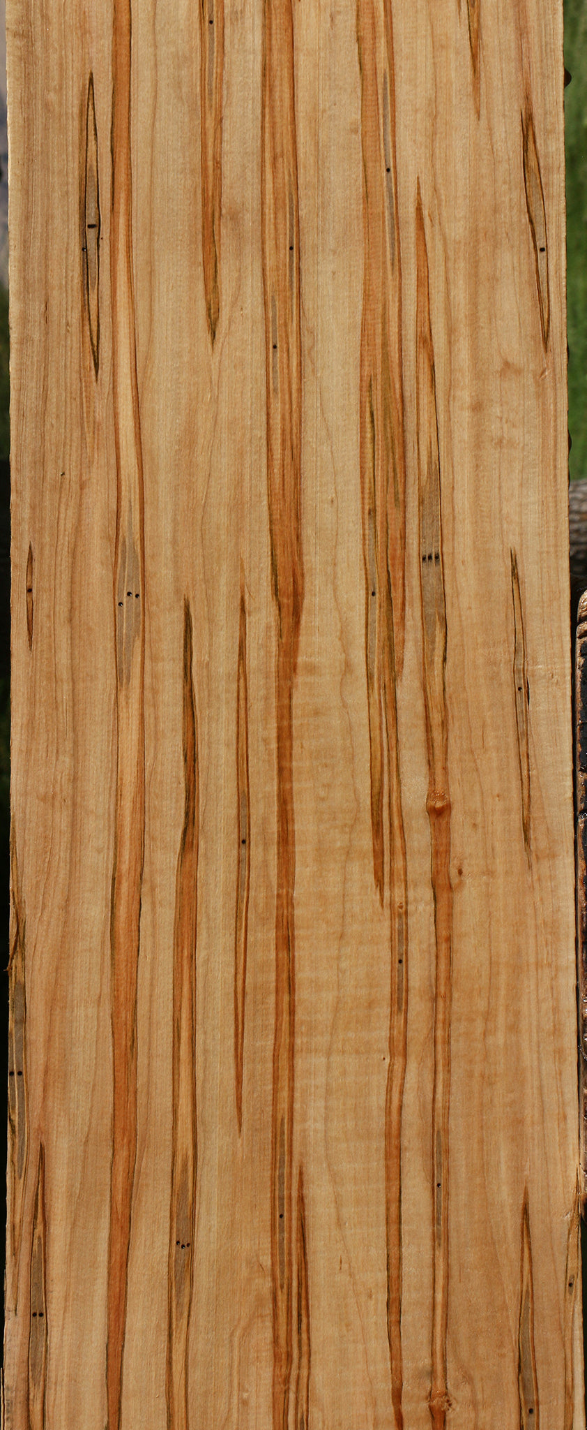 Figured Ambrosia Maple Lumber