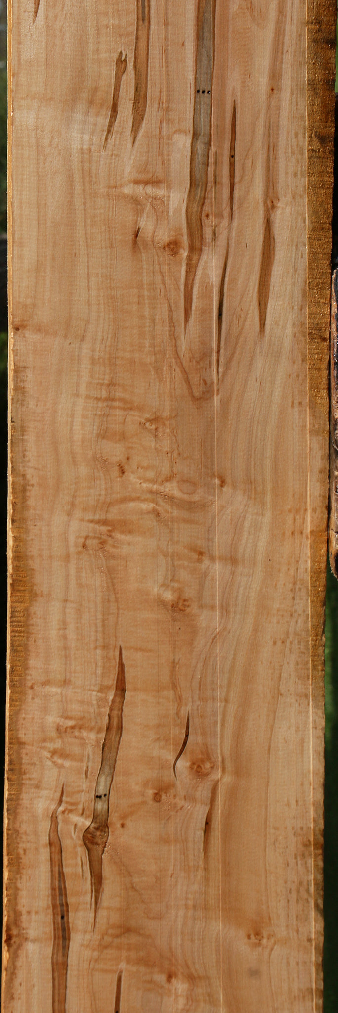 Figured Ambrosia Maple Lumber