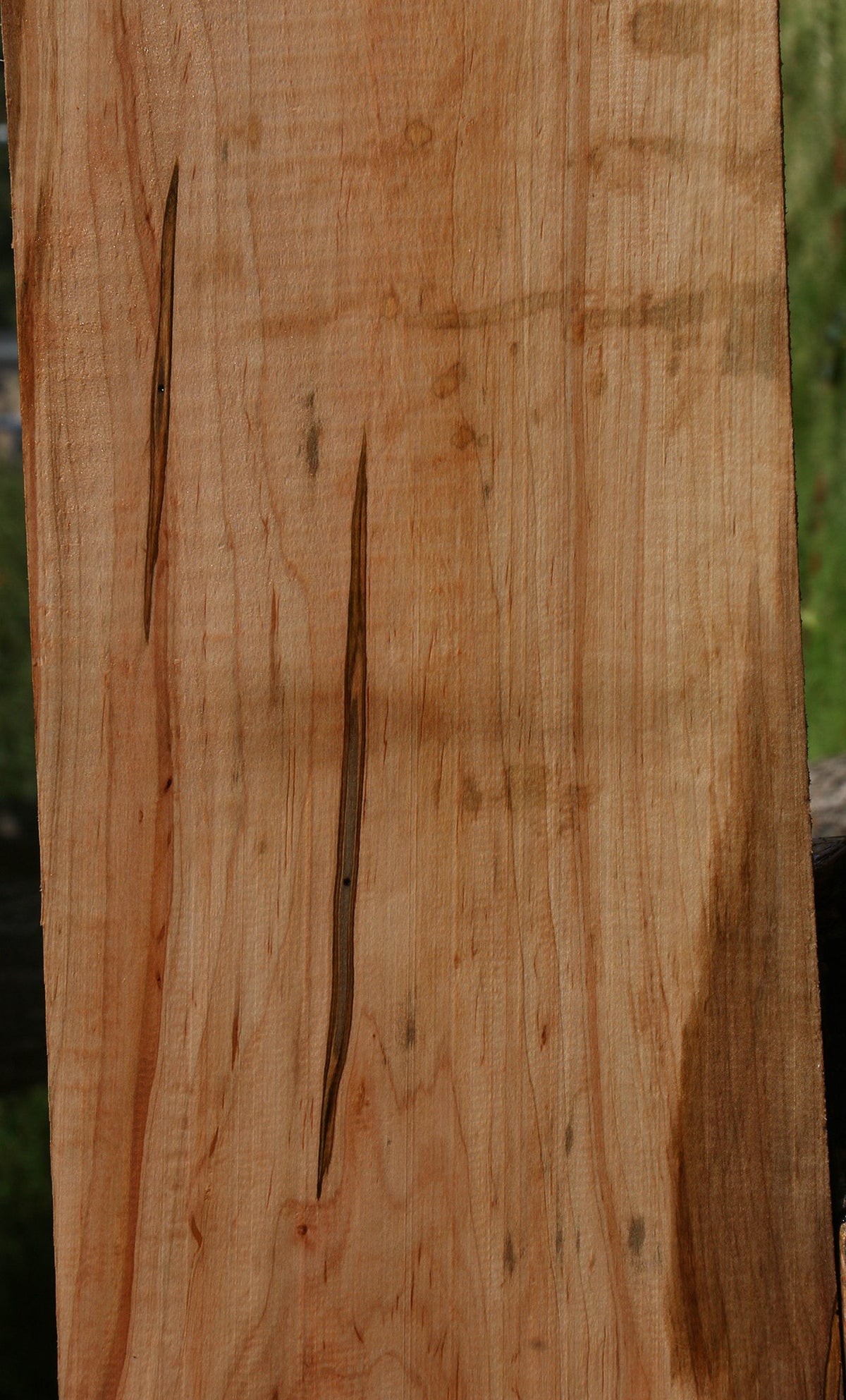 Ambrosia Maple Lumber