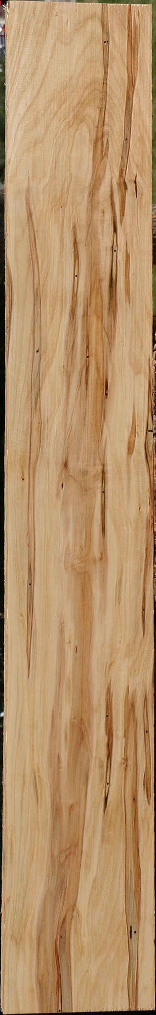 Figured Ambrosia Maple Lumber
