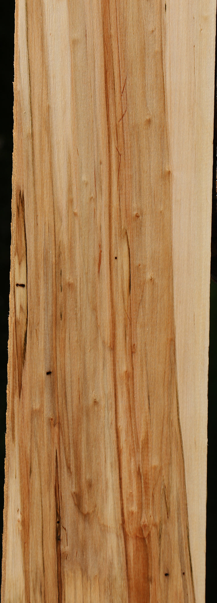 Ambrosia Maple Lumber