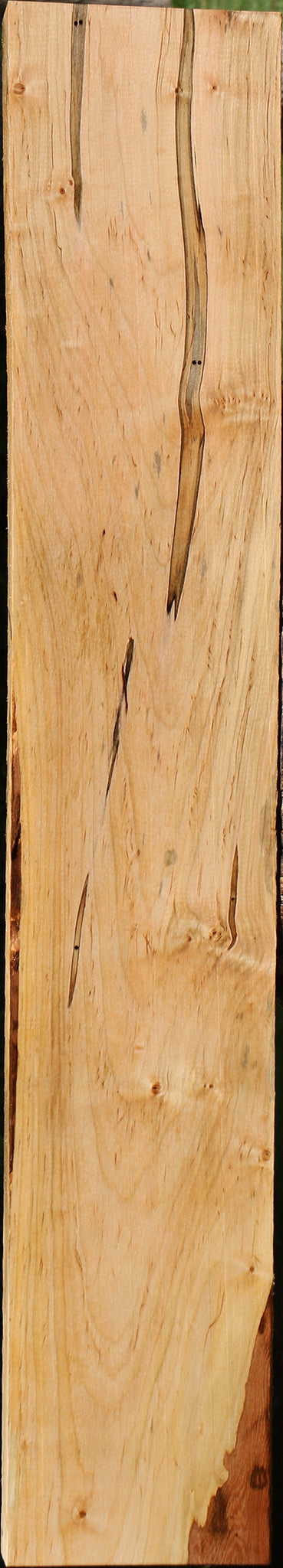 Ambrosia Maple Lumber