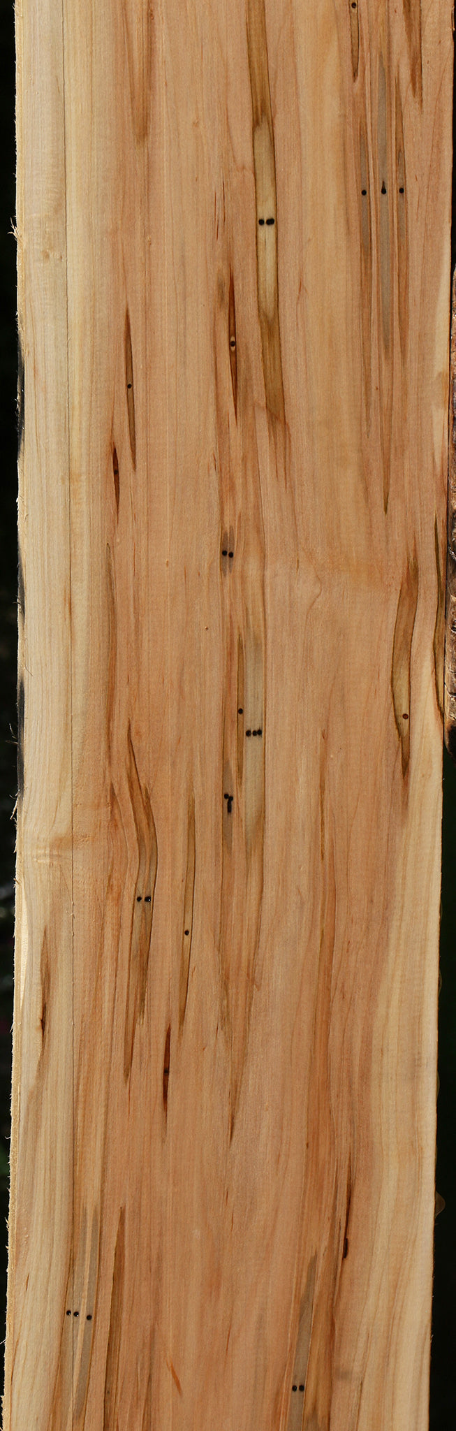 Figured Ambrosia Maple Lumber