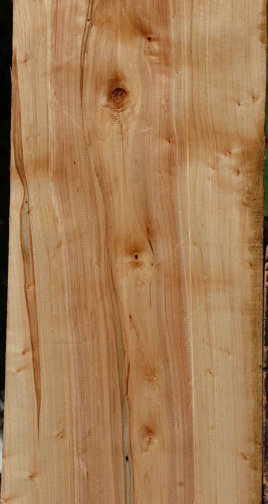 Figured Ambrosia Maple Lumber