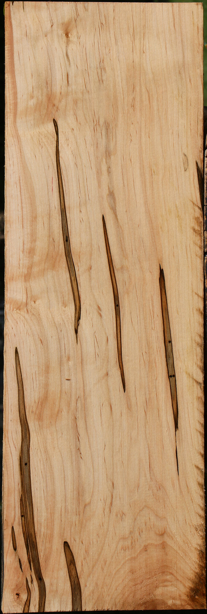 Figured Ambrosia Maple Lumber
