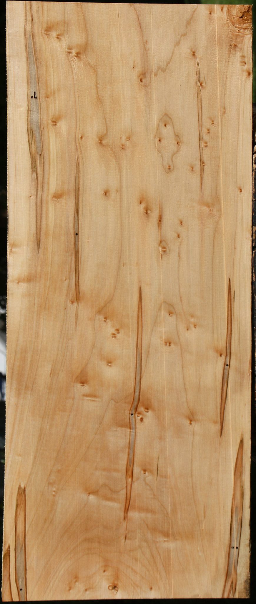Figured Ambrosia Maple Lumber