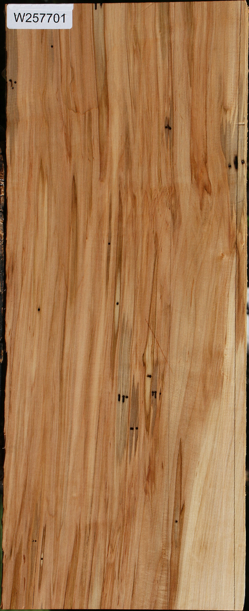 Ambrosia Maple Lumber