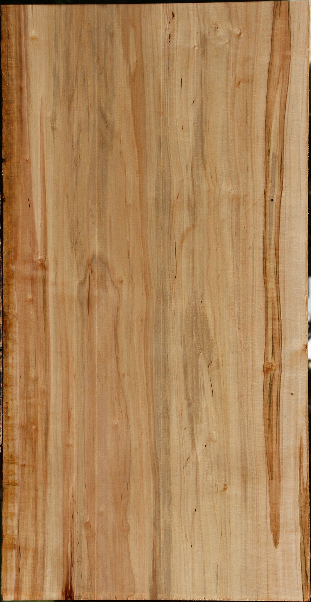 Ambrosia Maple Lumber