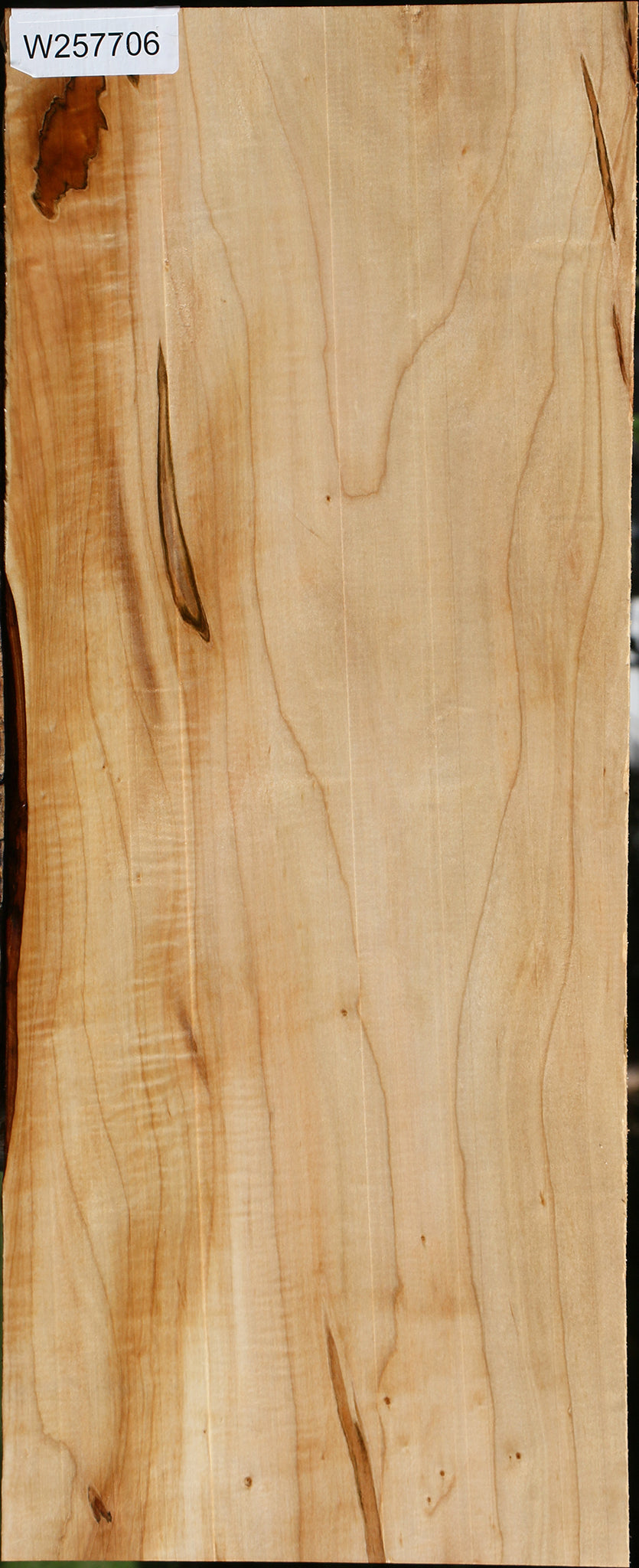 Ambrosia Maple Lumber