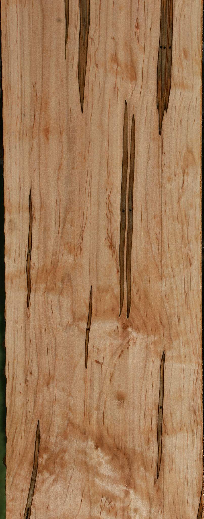 Figured Ambrosia Maple Lumber
