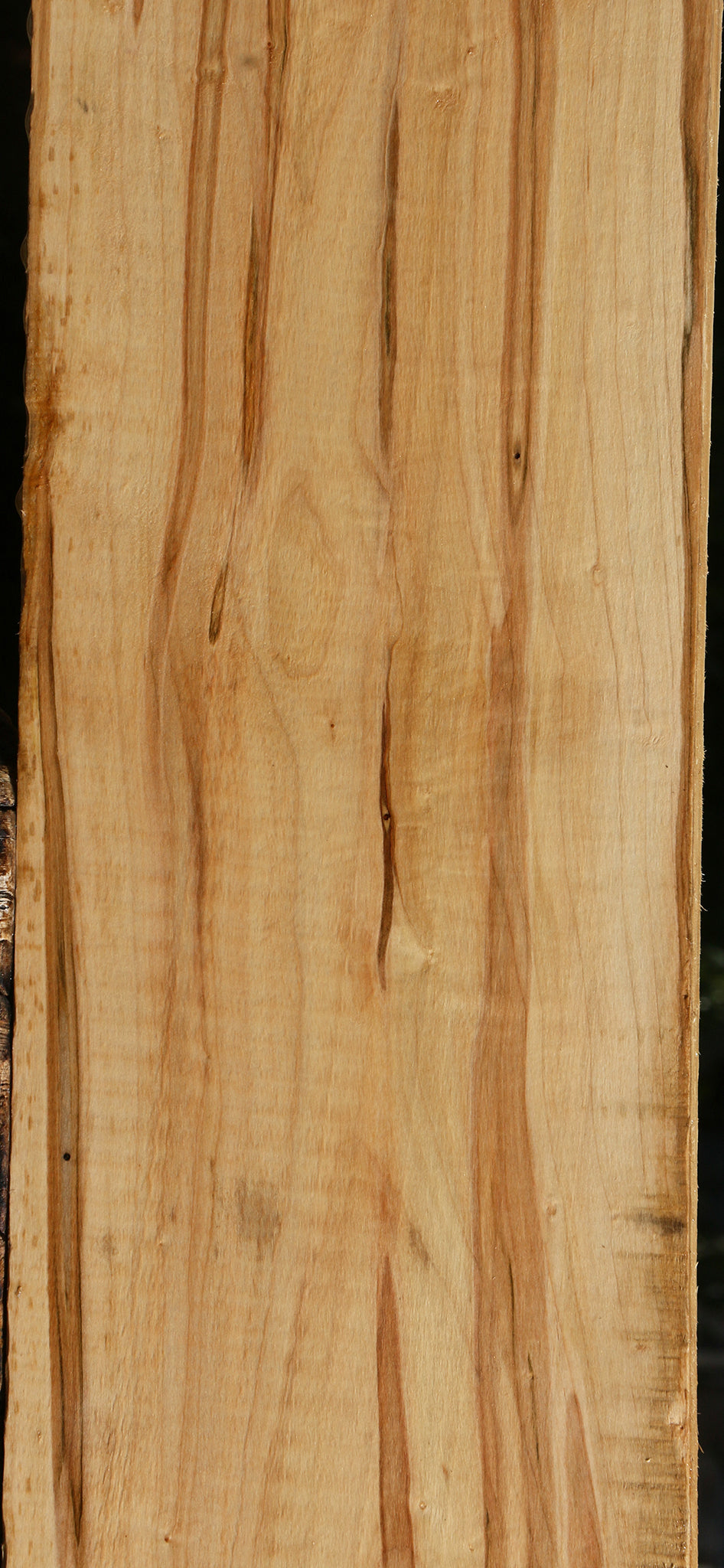 Figured Ambrosia Maple Lumber