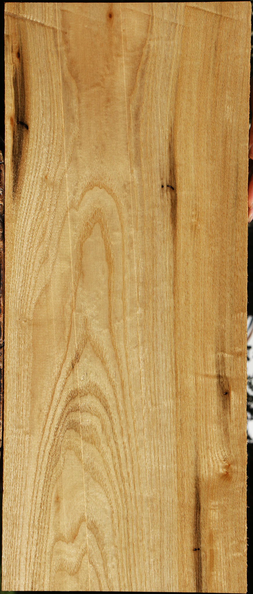 Butternut Lumber