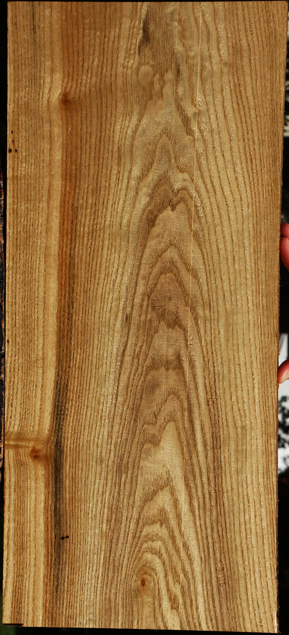 Butternut Lumber