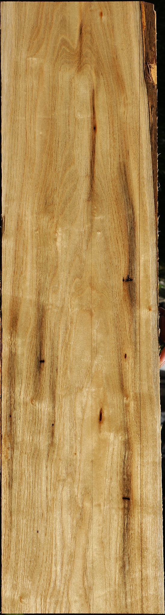 Butternut Lumber