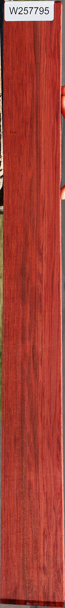 Redheart Lumber