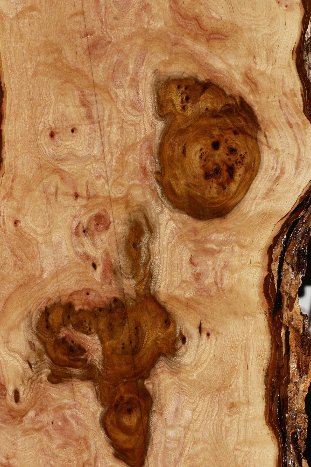 Extra Fancy Hickory Live Edge Lumber