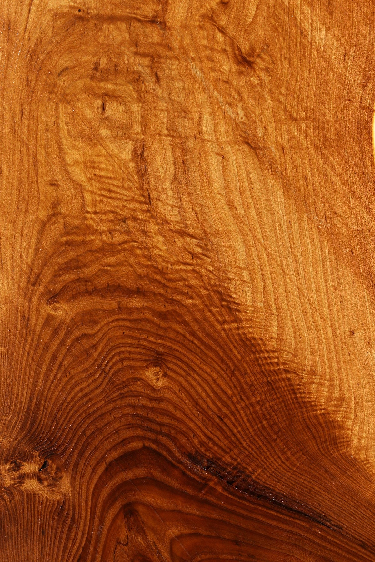 Russian Olive Live Edge Mini Slab