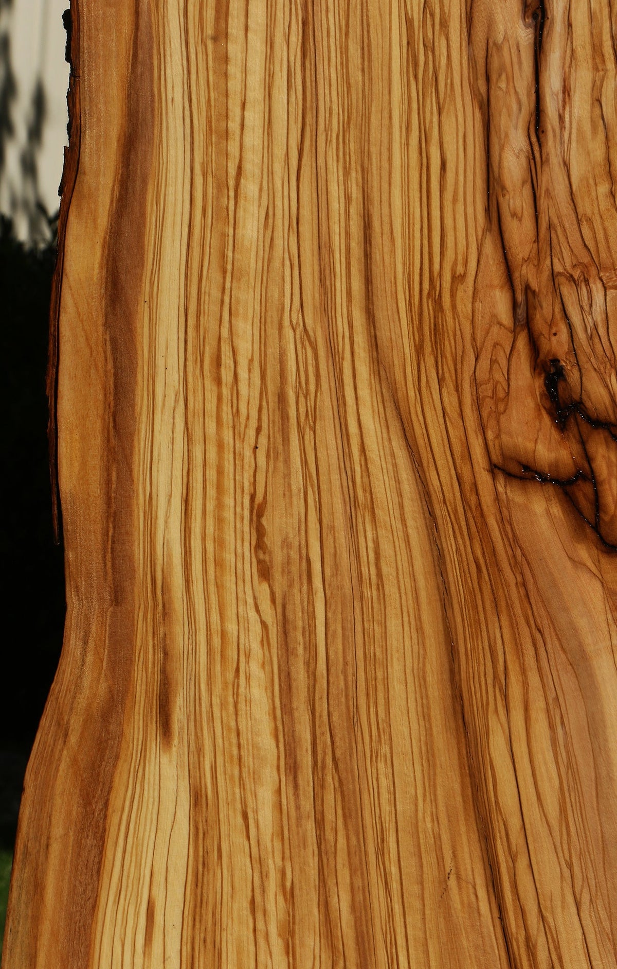 Rustic Italian Olive Live Edge Slab