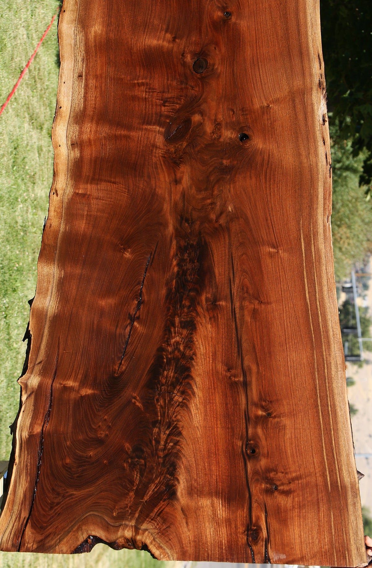 104" Claro Walnut Live Edge Slab