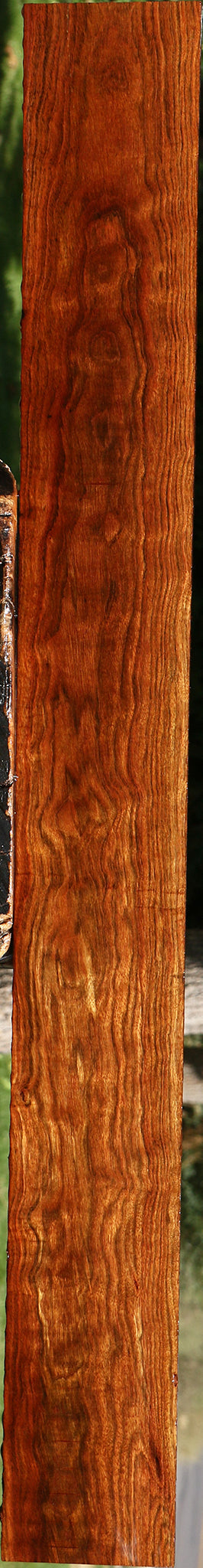 Figured Chechen Lumber