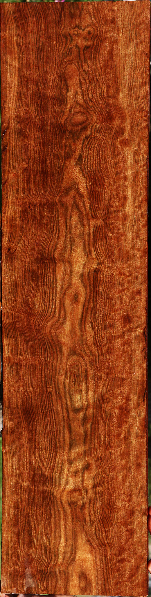 Extra Fancy Chechen Lumber