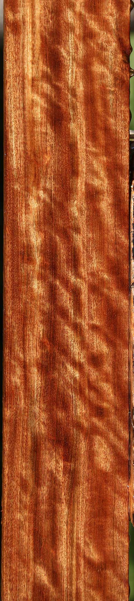 Extra Fancy Chechen Lumber