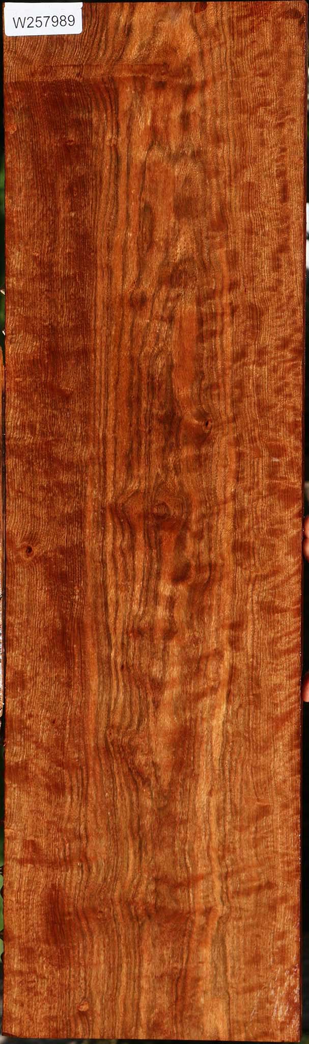 Extra Fancy Chechen Lumber