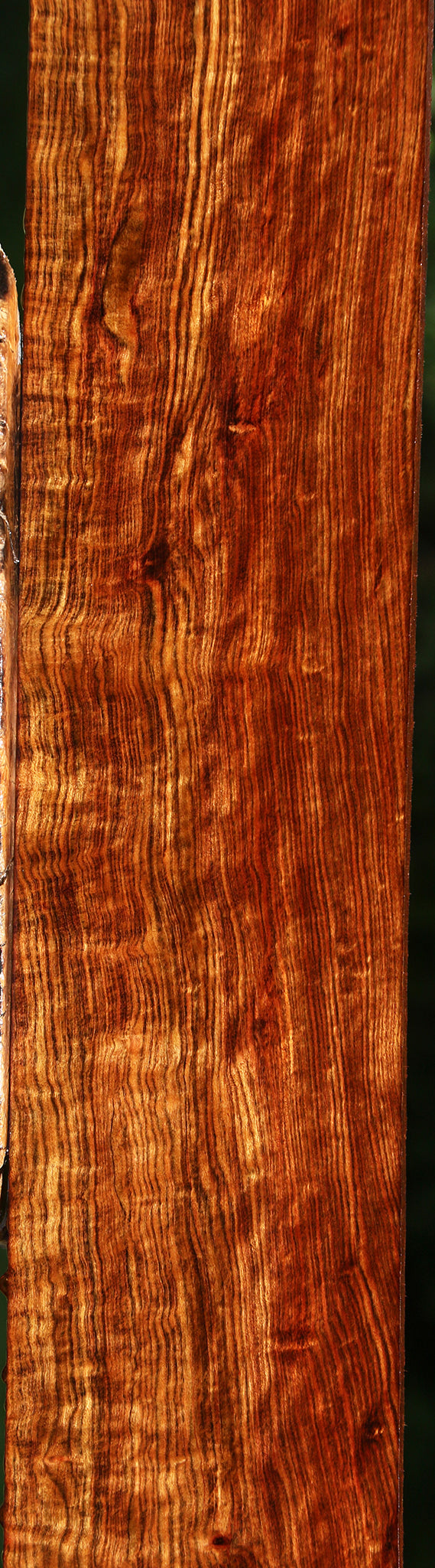 Exhibition Chechen Lumber