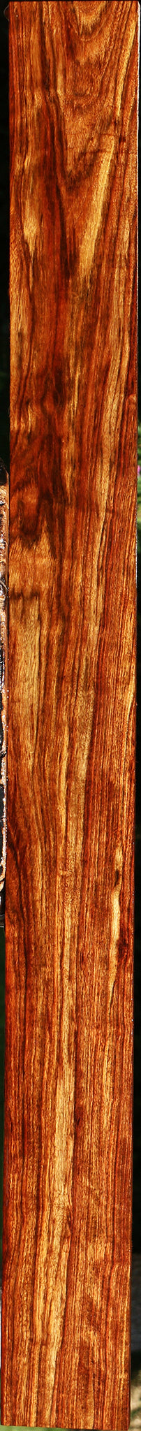 Figured Chechen Lumber