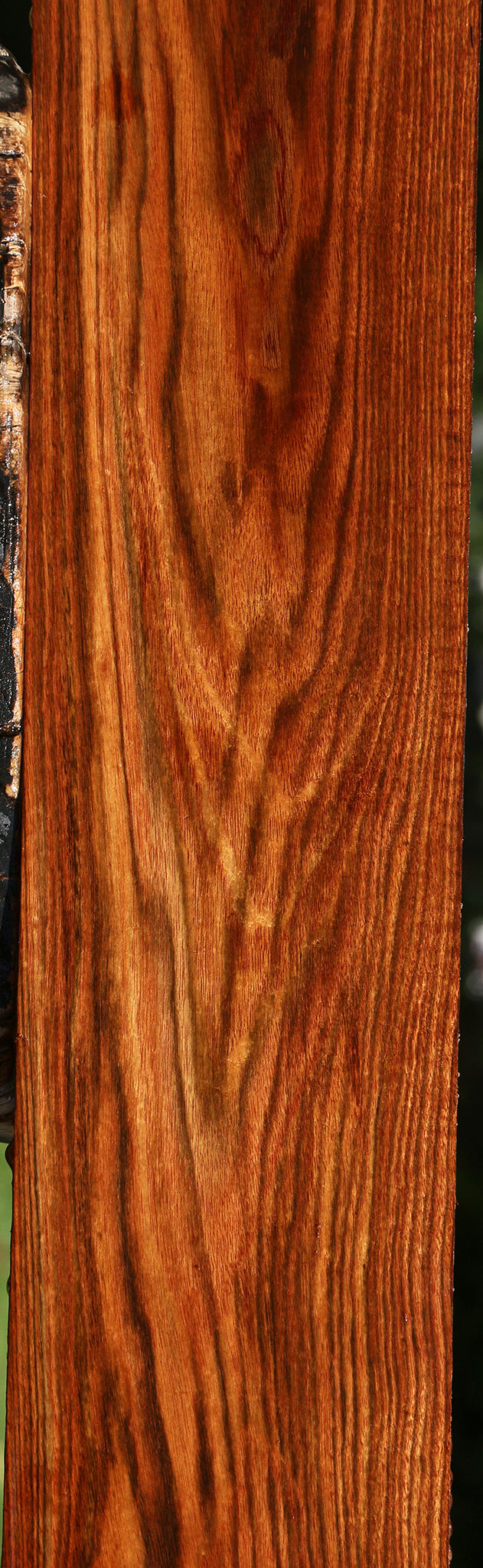 Chechen Lumber