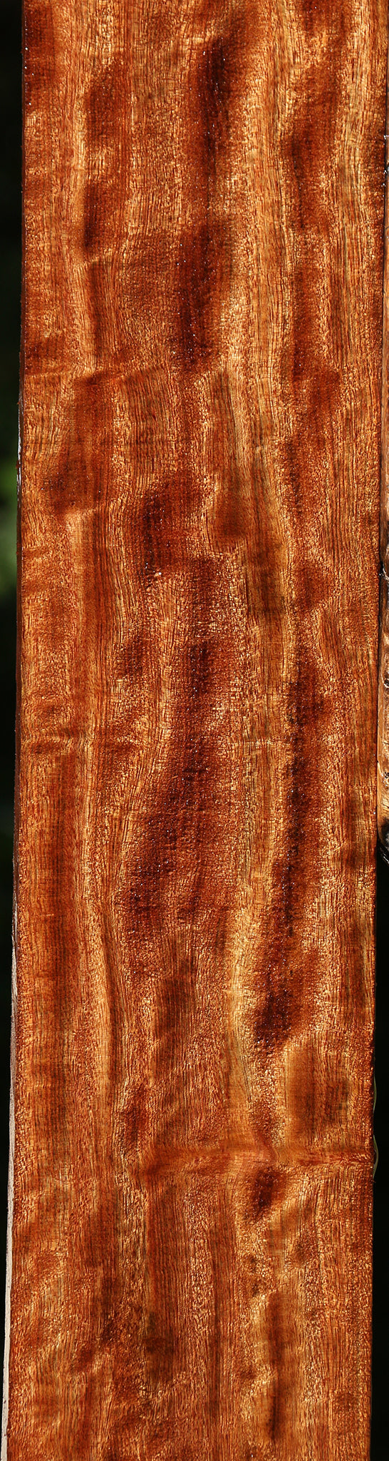 Extra Fancy Chechen Lumber