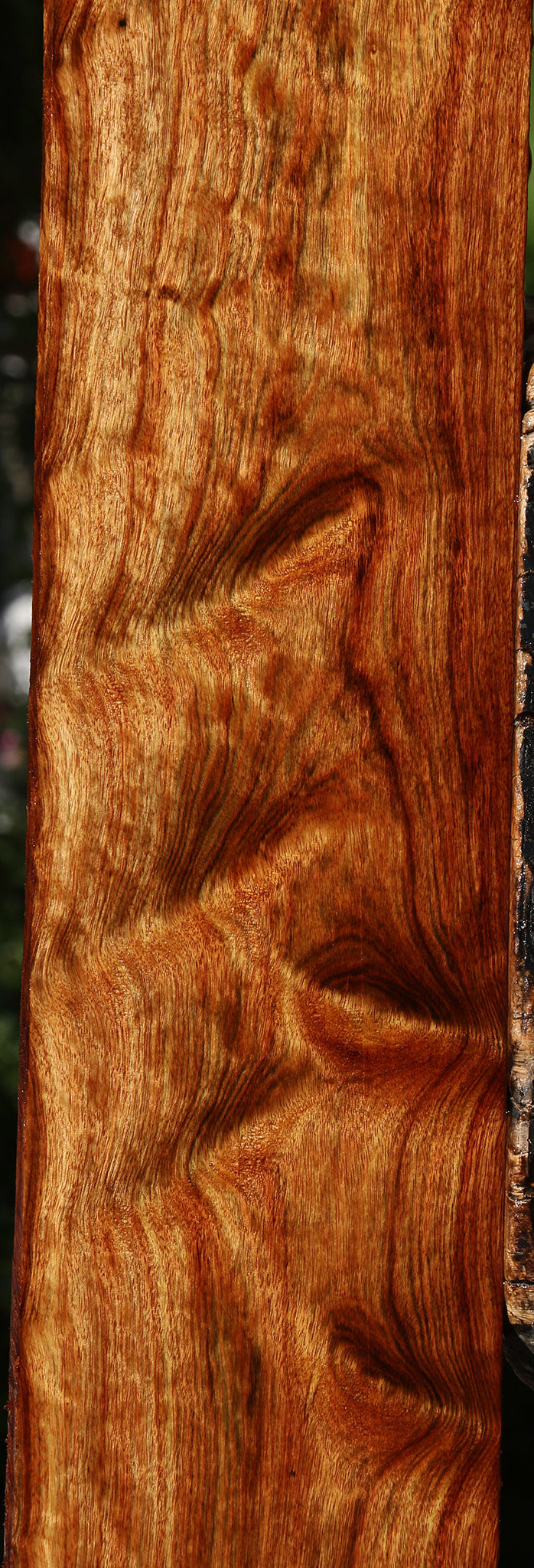 Extra Fancy Chechen Micro Lumber