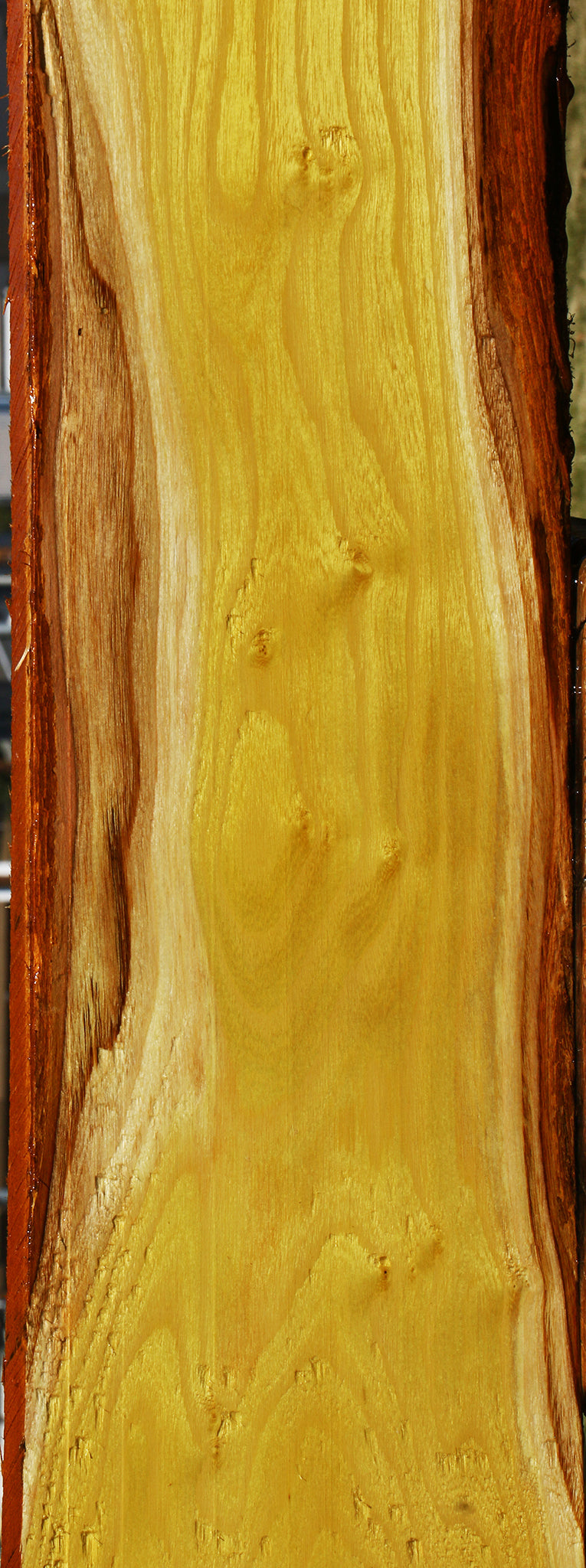 Osage Orange Lumber