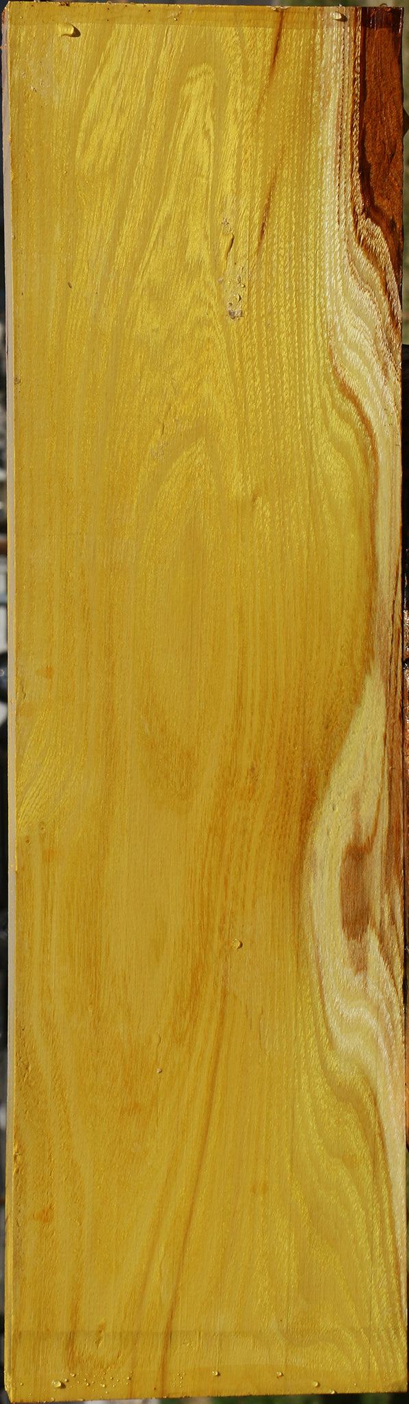 Osage Orange Lumber