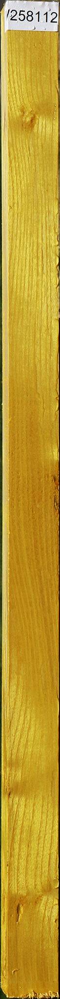 Osage Orange Turning Square