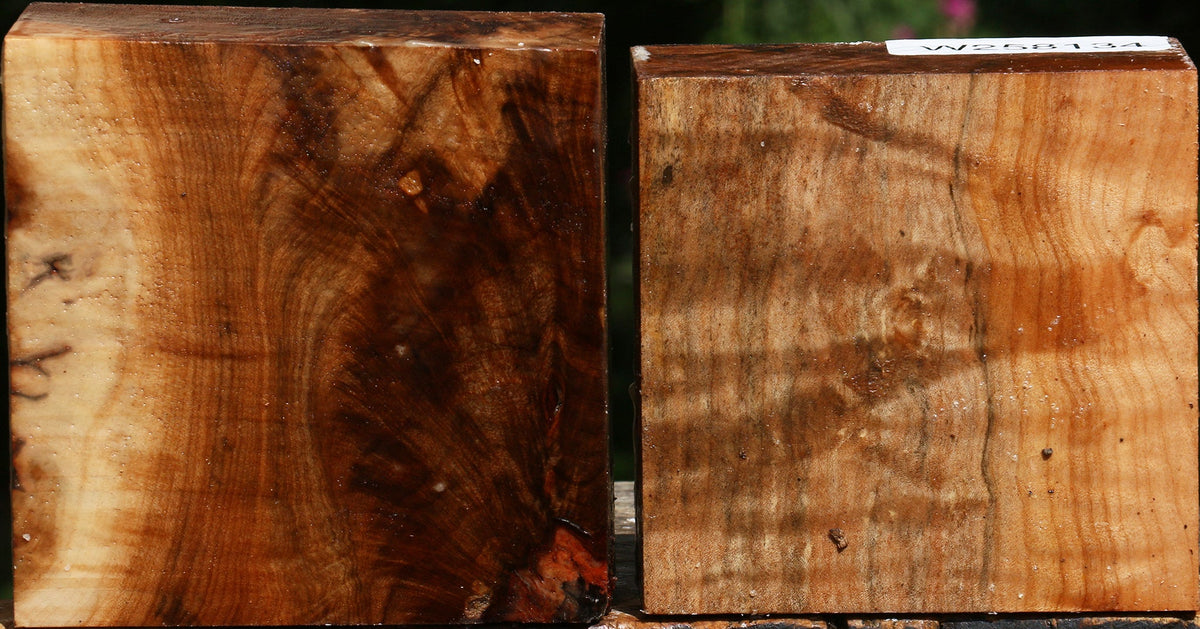 Figured Maple Bowl Blank 2 Pack