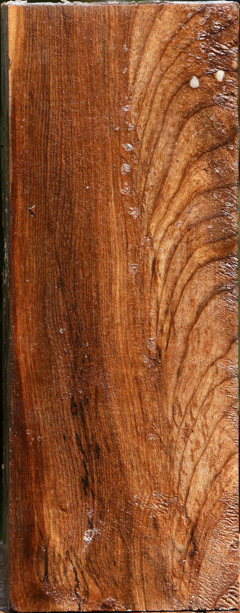 Figured Spalted Maple Vessel Blank