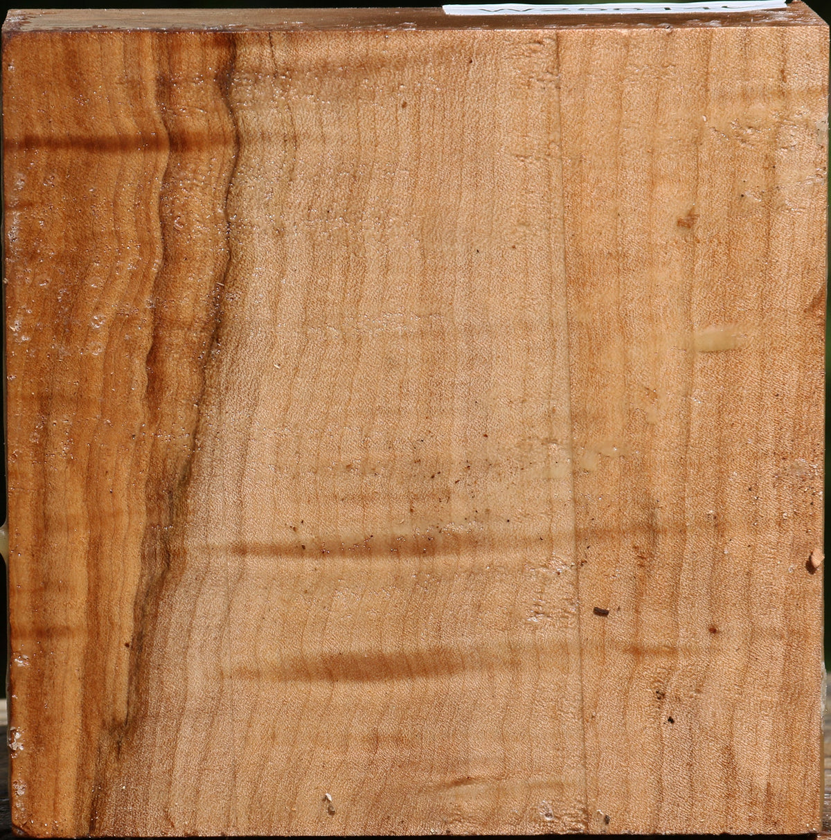 Figured Maple Bowl Blank