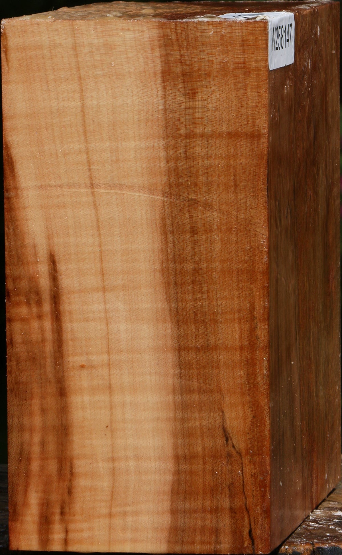 Figured Maple Bowl Blank