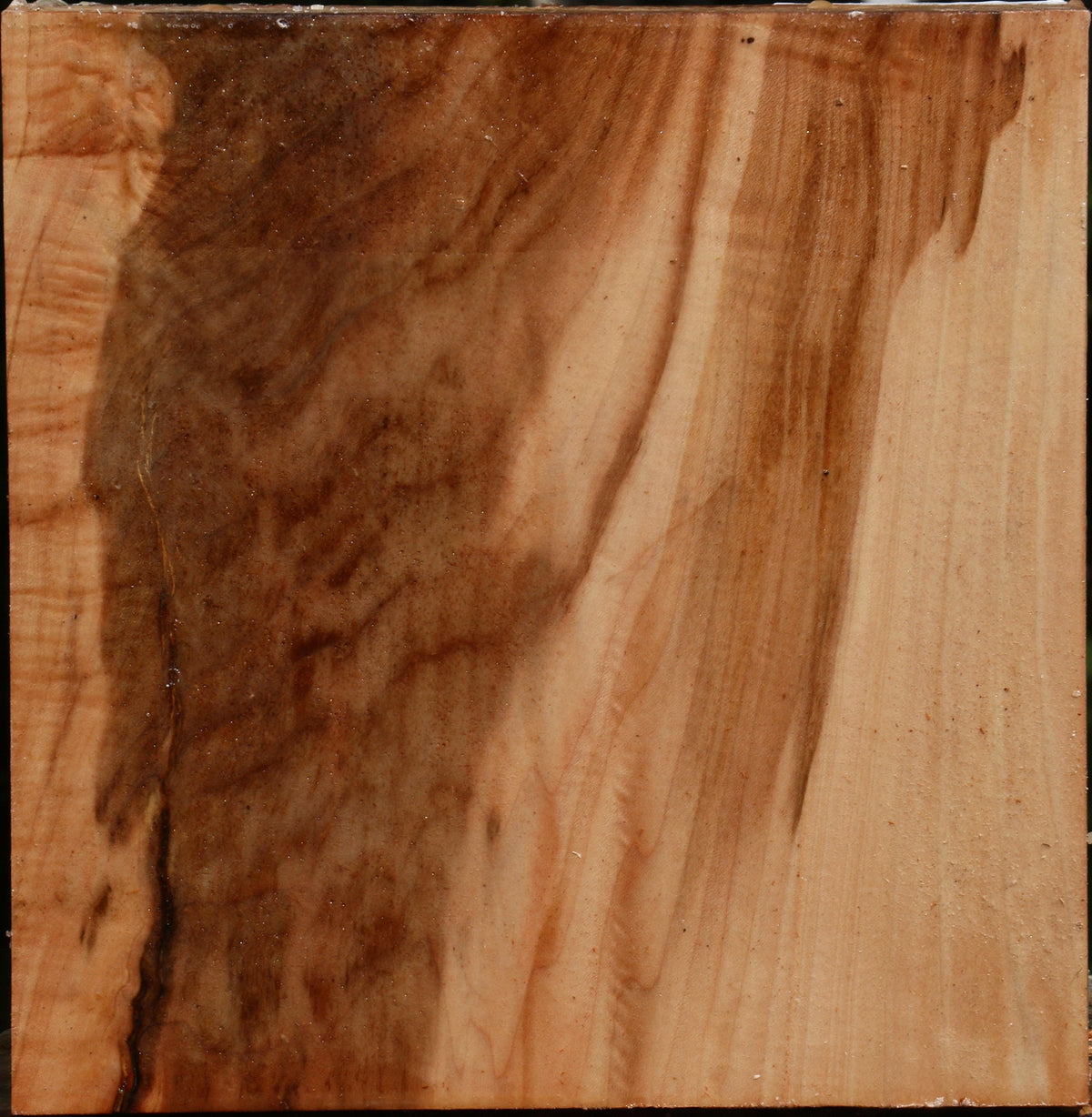 Figured Maple Bowl Blank