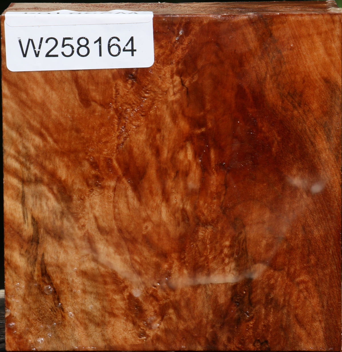 Extra Fancy Maple Bowl Blank