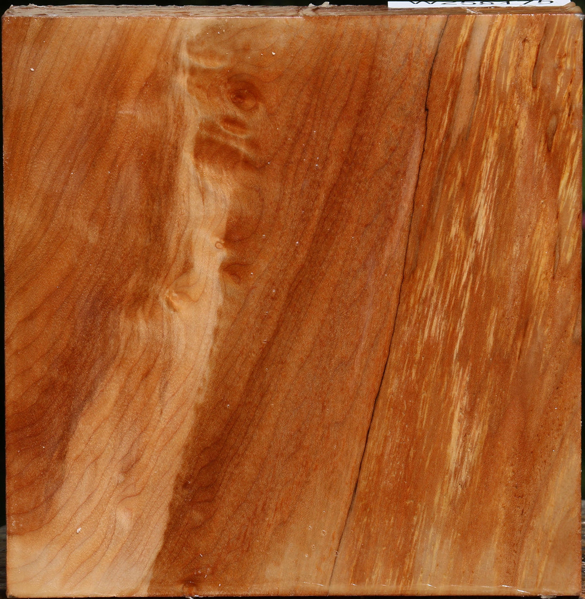 Spalted Maple Bowl Blank