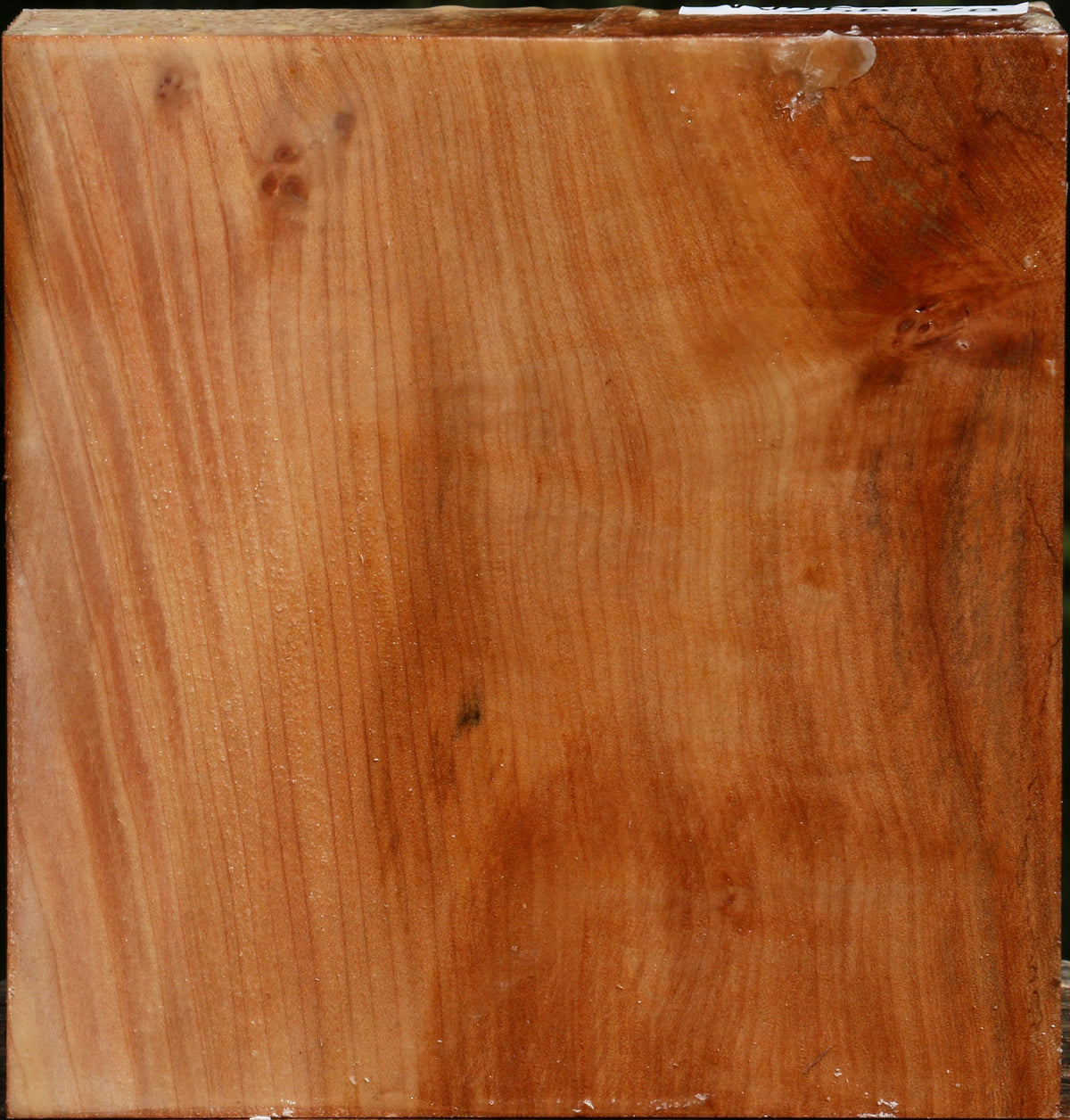 Figured Maple Bowl Blank